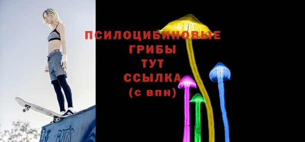 стафф Нефтекумск