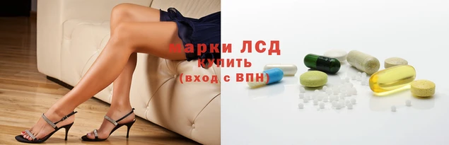 стафф Нефтекумск