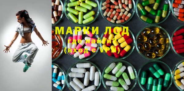 стафф Нефтекумск