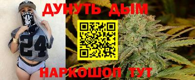 шишки Гатчина