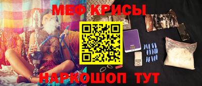 шишки Гатчина