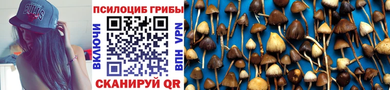 где продают наркотики  Алатырь  Галлюциногенные грибы GOLDEN TEACHER 