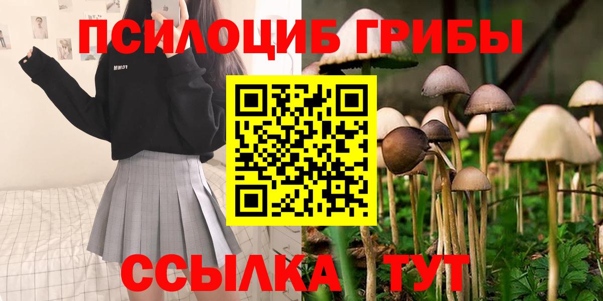 Псилоцибиновые грибы Psilocybe Алатырь