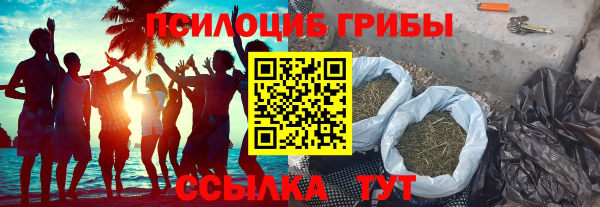 Алатырь  Галлюциногенные грибы Magic Shrooms  Псилоцибиновые грибы MAGIC MUSHROOMS  Вход с VPN 