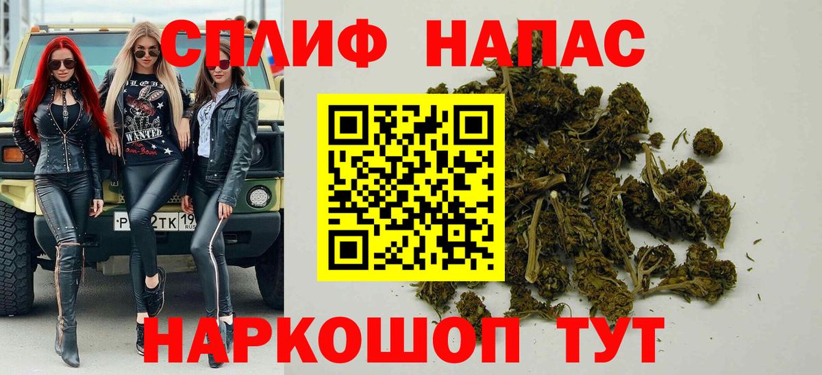 Бошки марихуана план  Алатырь  Бошки марихуана сатива  Каннабис план 